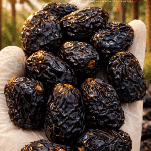 KURMA AJWA ALIYYAH MADINAH