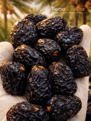 KURMA AJWA ALIYYAH MADINAH